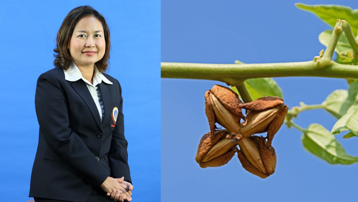 ม.มหิดล สร้างสรรค์นวัตกรรมอาหารเสริมโปรตีนสูง เพิ่มมูลค่า-คุณค่า 