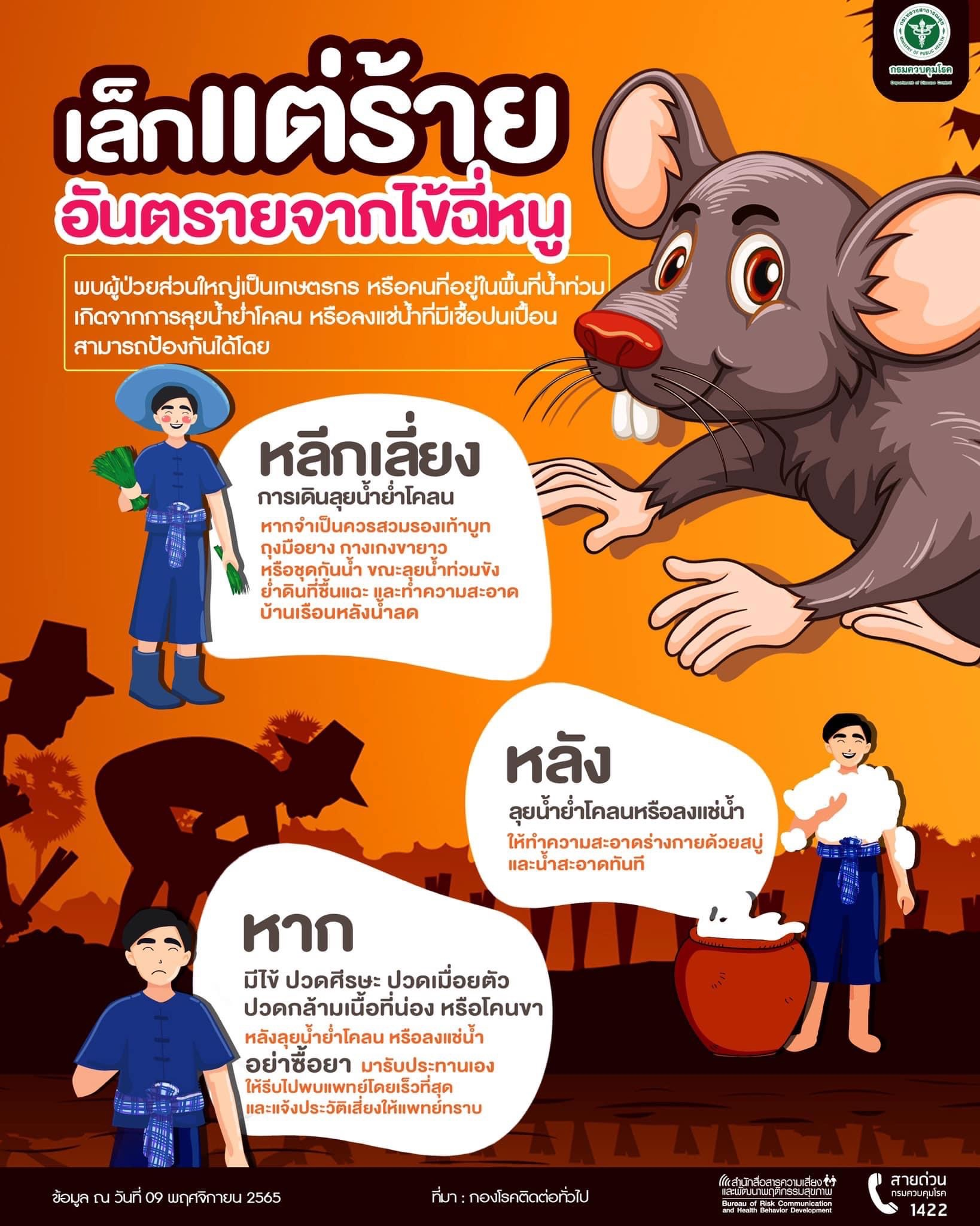 กรมควบคุมโรค เตือนประชาชนในพื้นที่น้ำท่วมโดยเฉพาะภาคใต้ เดินย่ำน้ำระวังป่วยโรคไข้ฉี่หนู