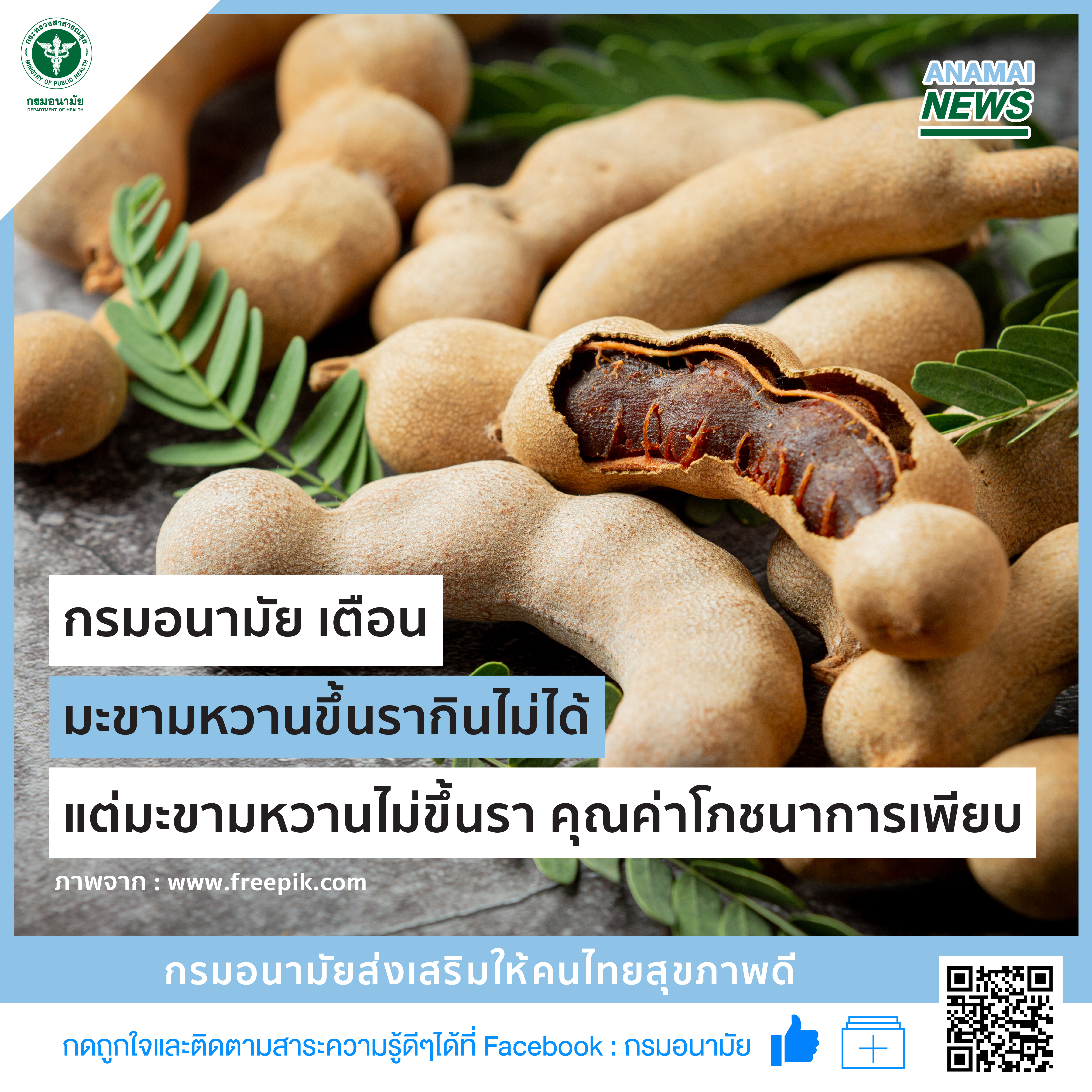 กรมอนามัย เตือน มะขามหวานขึ้นรากินไม่ได้ แต่มะขามหวานไม่ขึ้นราคุณค่าโภชนาการเพียบ