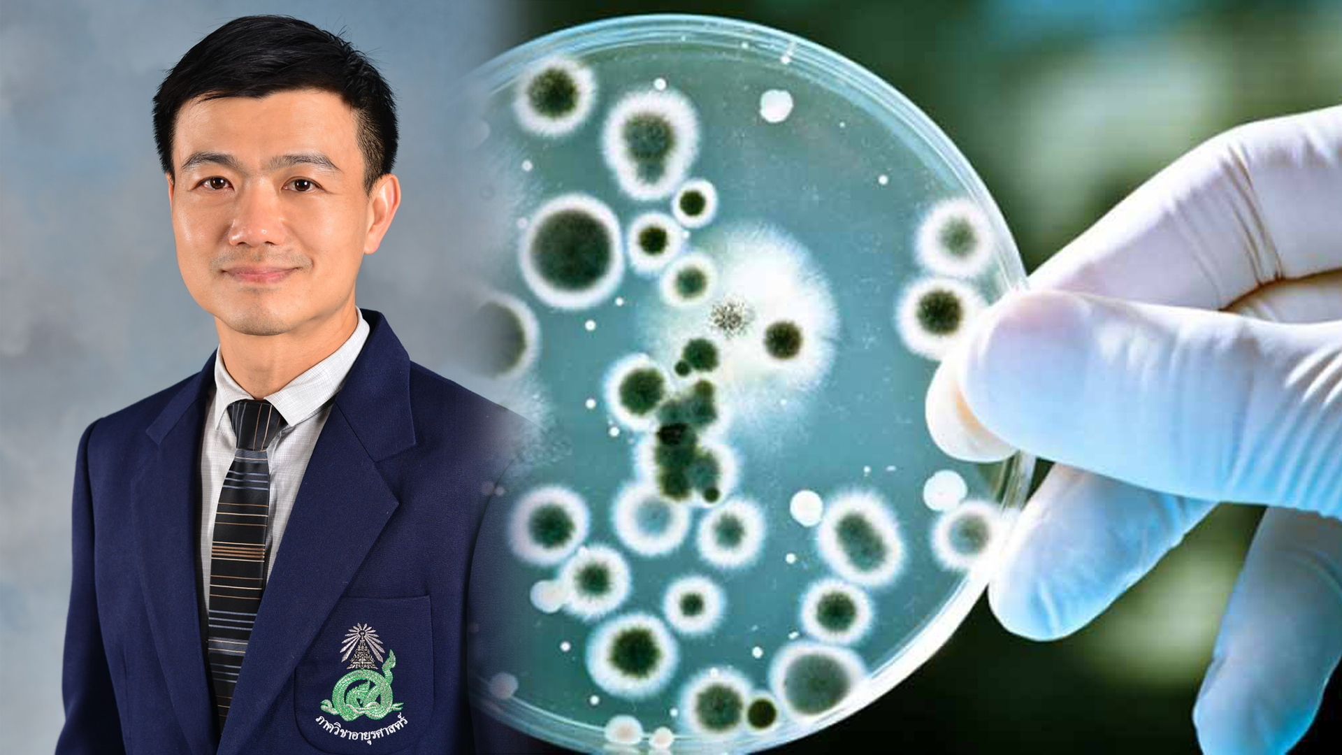 ม.มหิดลร่วมโครงการวิจัยระดับโลก คิดค้นยาใหม่รักษาโรคติดเชื้อจากเชื้อราชนิดรุนแรง