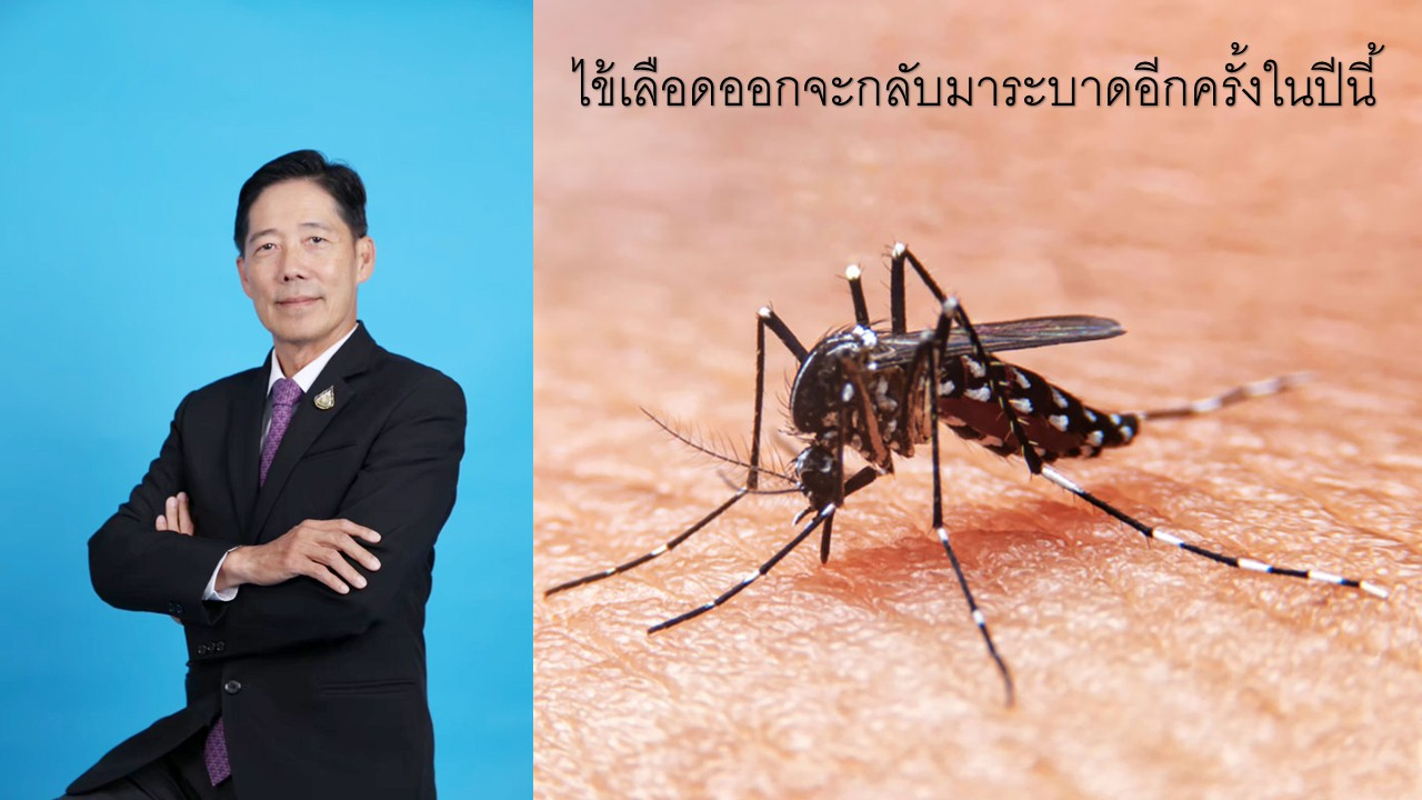 กรมควบคุมโรค คาดการณ์ไข้เลือดออกจะกลับมาระบาดอีกครั้งในปีนี้ และมีแนวโน้มพบผู้ป่วย ในกลุ่มเด็กนักเรียนมากขึ้น
