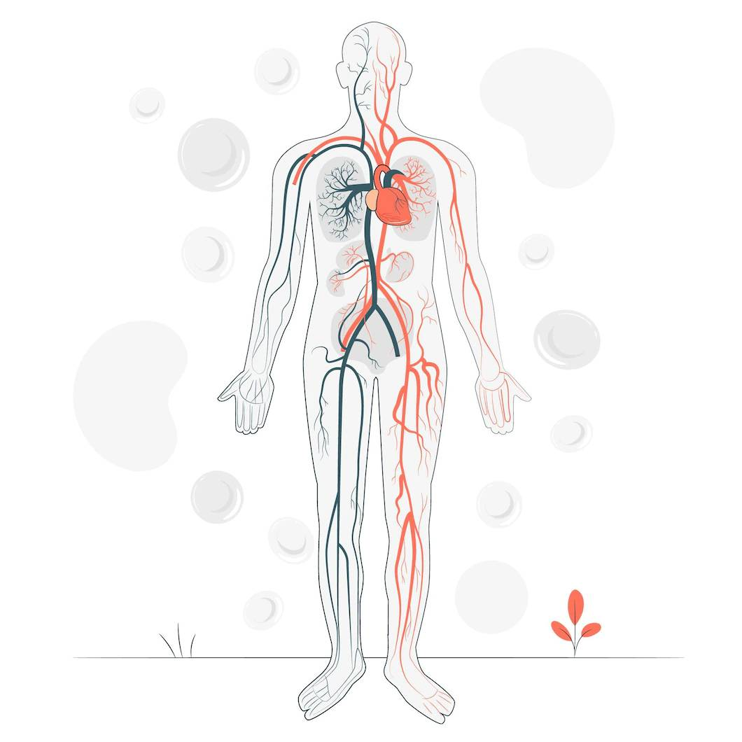 โรคผนังหลอดเลือดแดงใหญ่ปริแตกเซาะ(Aortic dissection) ภาวะเร่งด่วนที่ต้องรีบ วินิจฉัยและรักษาอย่างทันท่วงที