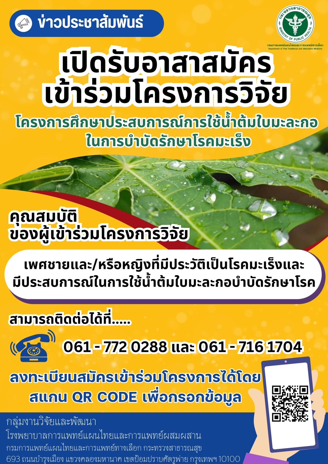 กรมการแพทย์แผนไทยและการแพทย์ทางเลือก เผยจะเดินหน้าวิจัย น้ำต้มใบมะละกอสด  ในการบำบัดรักษาผู้ป่วยมะเร็ง