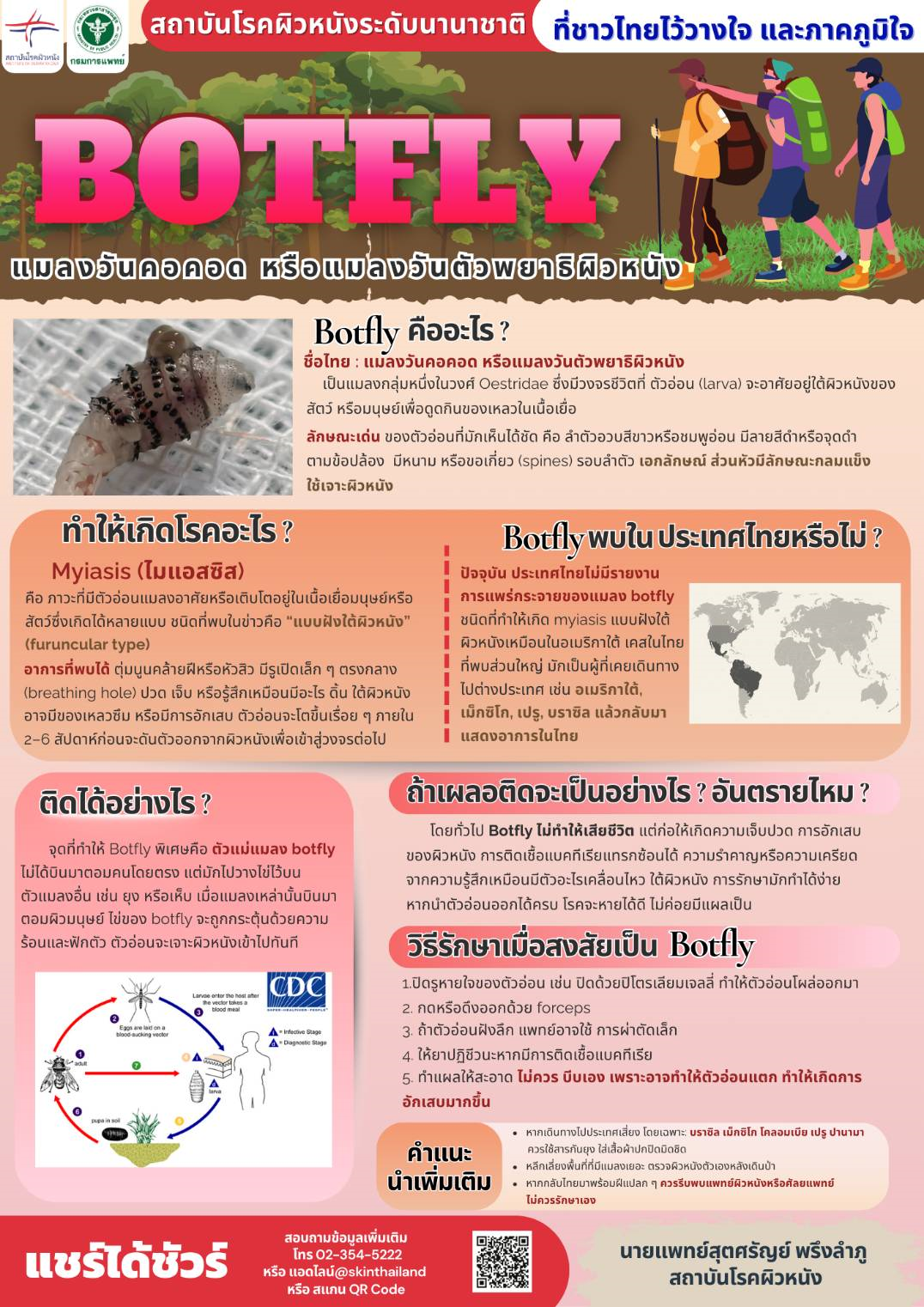 Botfly (แมลงวันคอคอด หรือแมลงวันตัวพยาธิผิวหนัง)